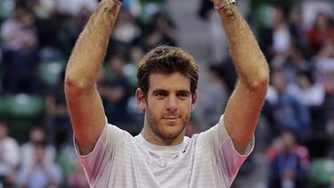 americateve | El argentino Juan Mart&iacute;n del Potro alza el trofeo tras coronarse en el Abierto de Jap&oacute;n al vencer al canadiense Milos Raonic en la final, en Tokio, el domingo 6 de octubre de 2013. (Foto AP/Shizuo Kambayashi)