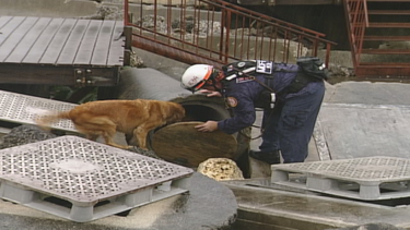 bomberos del condado realizan simulacro
