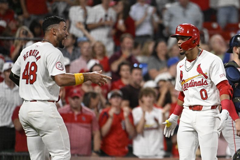 Masyn Winn (derecha) es felicitado por el panameño Iván Herrera, su compañero en los Cardenales de San Luis, luego de batear un jonrón de dos carreras en el juego del viernes 17 de mayo de 2024 (AP Foto/Joe Puetz)