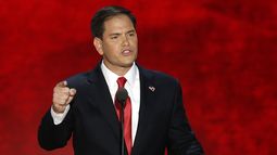 Marco Rubio, senador.