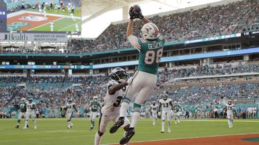 fanaticos podran entrar al hard rock stadium a ver a los dolphins a pesar del covid-19