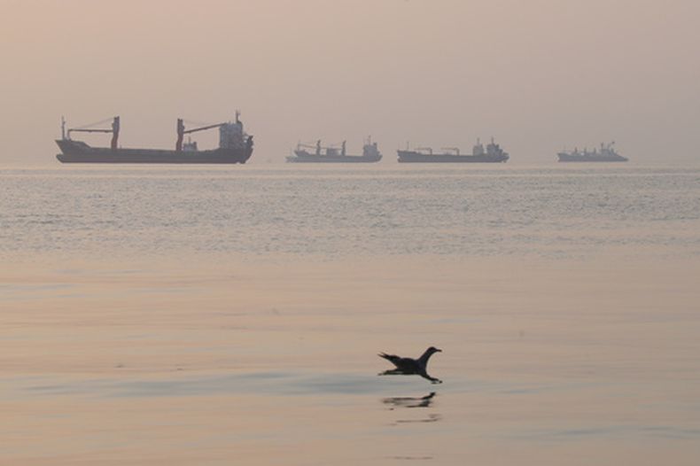 Un pájaro vuela bajo sobre el agua mientras se ven mercantes fondeados en el estrecho de Ormuz, cerca de Bandar Abbas, Irán, la mañana del sábado 24 de octubre de 2026. (Amirhosein Khorgooi/ISNA via AP)