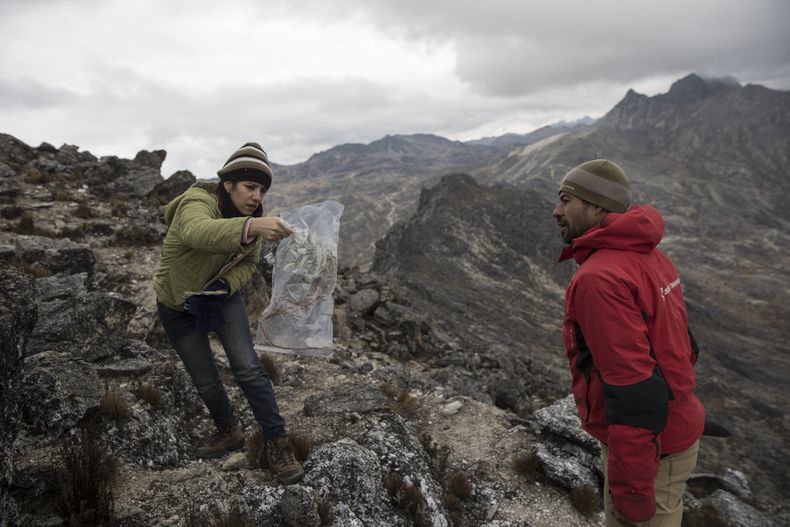REP-CIE_¿QUE_SE_PUEDE_SALVAR?-GLACIAR-9.jpg