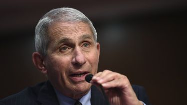 Fauci: aumento de contagio en sur, oeste pone en riesgo EEUU