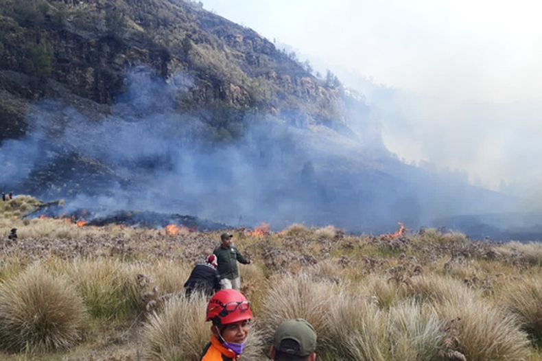 El incendio en el Parque Nacional Bromo en Probolinggo, Java Oriental, Indonesia, el 5 de agosto del 2026. Foto de la Agencia de Gestión de Desastres de Indonesia. (Agencia de Gestión de Desastres de Indonesia via AP)