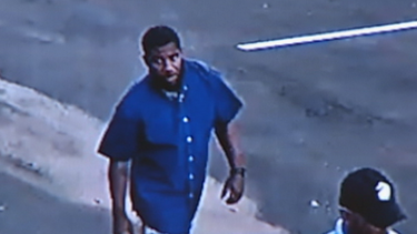 autoridades investigan el robo de un mustang en pembroke pines