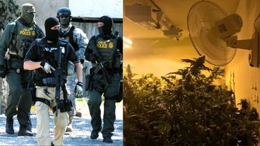 tras las rejas un cubano recien llegado a eeuu por cuidar una casa de cultivo de marihuana