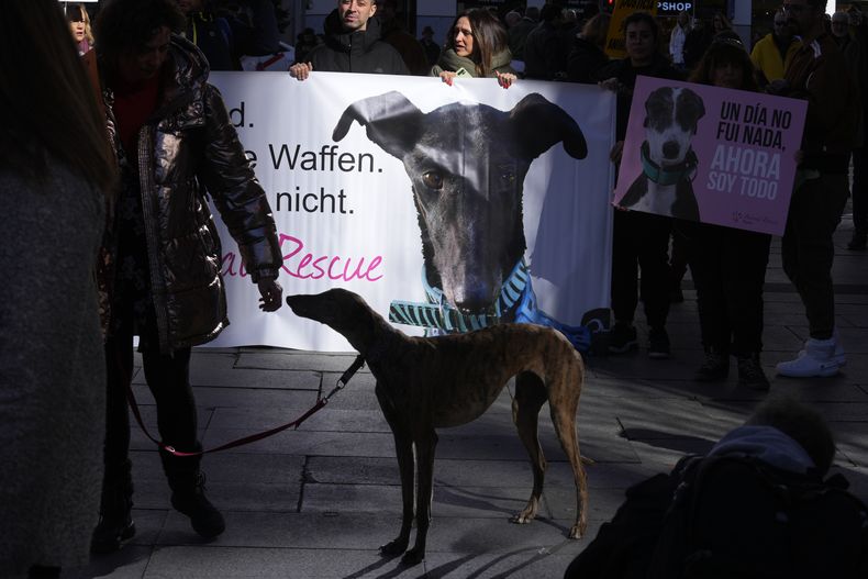 EUR-GEN ESPAÑA-PROTECCIÓN ANIMAL