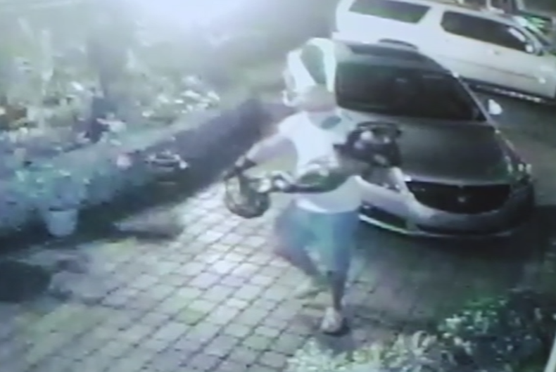 ladron westchester.png