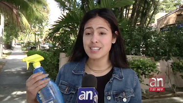 incontrolable: asi califican la situacion de los jovenes en miami beach  y el peligro de contagio con el coronavirus