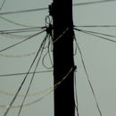 Fraudes en la red eléctrica provocan la pérdida de casi un 17% de energía en La Habana