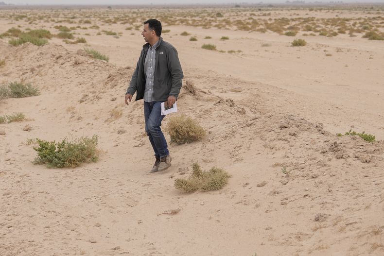 El doctor Jaafar al Jotheri sostiene imágenes satelitales mientras explora el emplazamiento de la Batalla de al-Qadisiyah, que libraron en Mesopotamia - en el Irak actual - en el 630 dC árabes musulmanes y el ejército del Imperio Sasánido durante un periodo de expansión musulmana, en lo que ahora es el distrito de Abu Sakhir, al sur de Najaf, Irak, el 10 de noviembre de 2024. (AP Foto/Hadi Mizban)