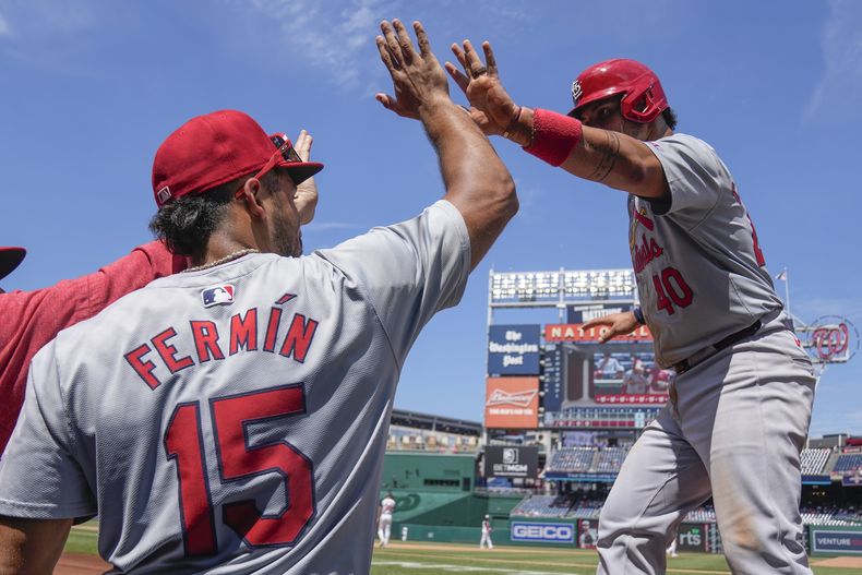 El venezolano de los Cardenales de San Luis Willson Contreras felicitado por José Fermín tras anotar en la quinta entrada ante los Nacionales de Washington el domingo 7 de julio del 2024. (AP Foto/Mark Schiefelbein)