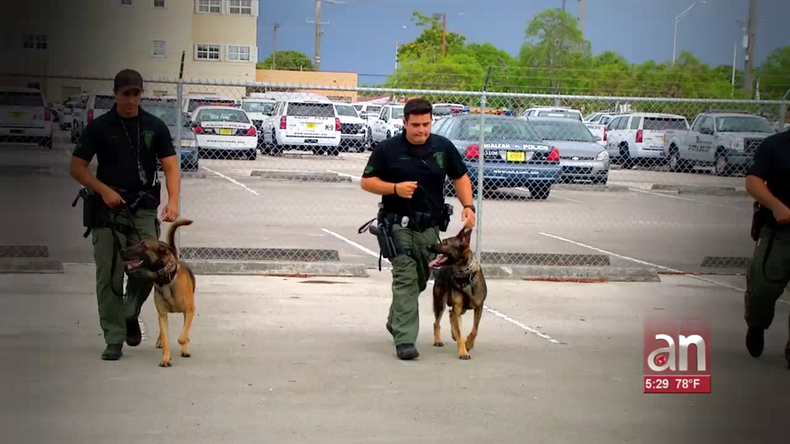 Screen Shot 2019-06-13 at 8.00.13 PM.png