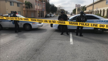 cinco horas de tension en la pequena habana terminan sin rehenes, ni armas ni arrestos
