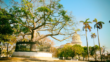 la cuba del recuerdo | el parque de la fraternidad