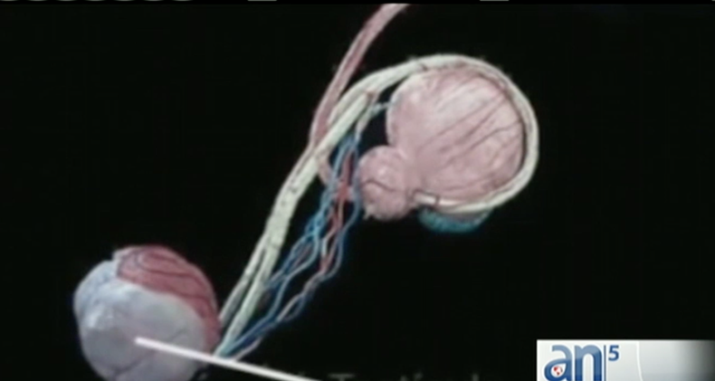 Screen Shot 2015-08-05 at 6.15.26 PM.png