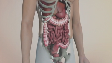 marzo: mes de la lucha contra el cancer de colon