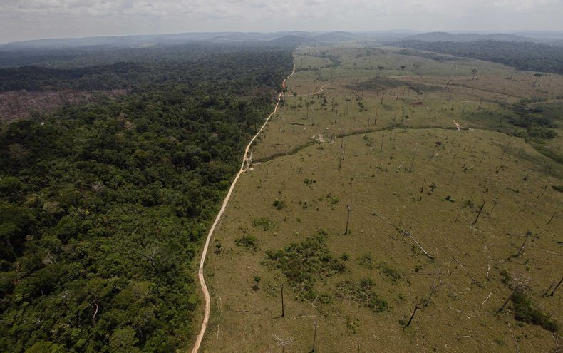 AMS-GEN_BRASIL-DEFORESTACION-0.jpg