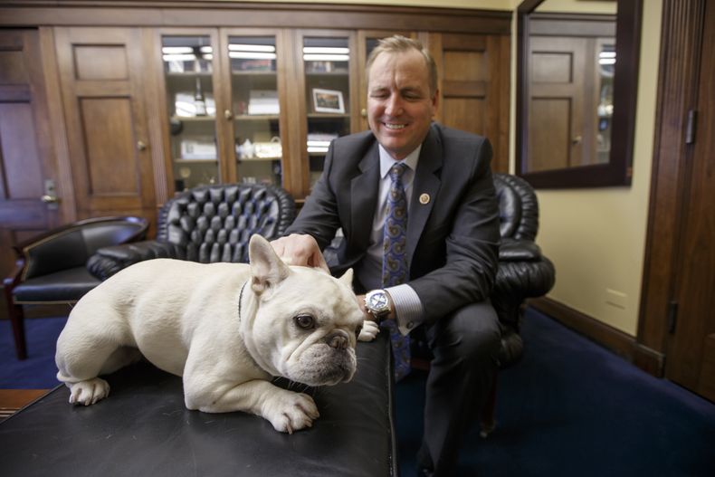 se permiten perros en los trenes de amtrak