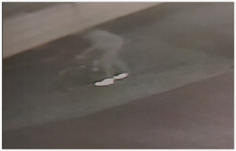 ROBAN A FAMILIA EN HIALEAH.PNG