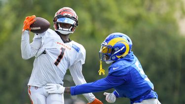 Riña abrevia práctica de Rams y Bengals