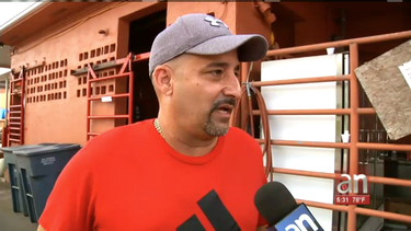 cubanos, puertorriquenos y otros hispanos del miami asistieron a popular matadero para su cerdo de fin de ano