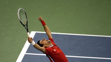 americateve | El serbio Novak Djokovic festeja tras ganar un duelo de la Copa Davis frente al checo Tomas Berdych, en Belgrado, el domingo 17 de noviembre de 2013. (AP Foto/ Marko Drobnjakovic)