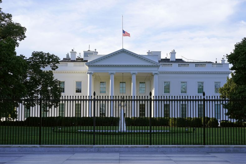 AMN-GEN_CASA_BLANCA-RICINA-0.jpg