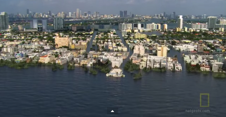 Para Philip Stoddard, alcalde de South Miami, "Marco Rubio es un idiota". Señala que el senador "dice que no es un científico, por lo que no tiene un punto de vista sobre el cambio climático y el aumento del nivel del mar, y por lo tanto no