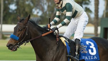 FTC rechaza reglas de pruebas de antidopaje en el hipismo