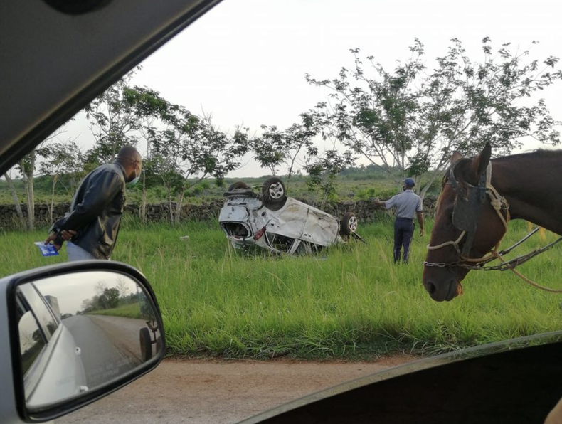 Screen Shot 2021-06-22 at 10.56.57 AM.png