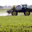EEUU por decidir sobre herbicida conocido