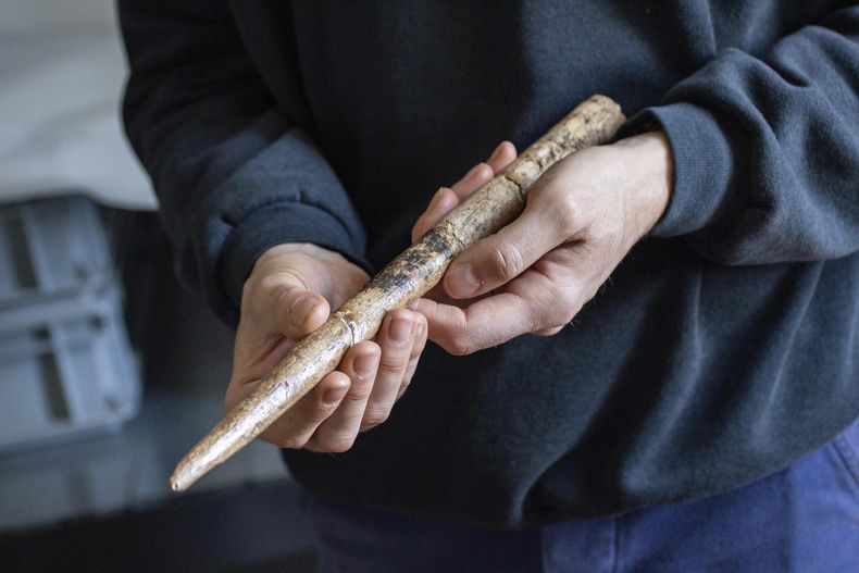 En la imagen, proporcionada por Alexandre Lefebvre, se muestra un proyectil hecho con un hueso de ballena gris que data de hace unos 18.000 años, en Abbaye dArthous, Francia, en marzo de 2021. (Alexandre Lefebvre vía AP)