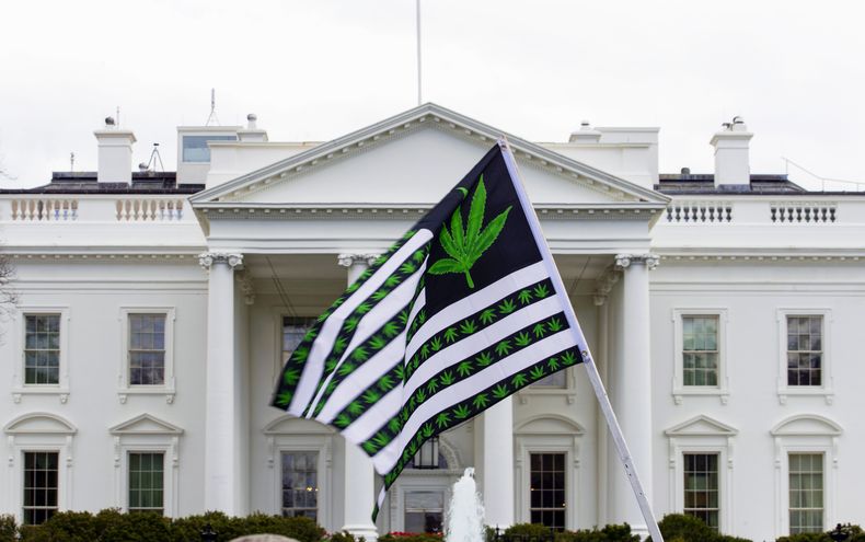 ARCHIVO - Un manifestante ondea una bandera decirada con hojas de marihuana durante una protesta por la legalización, frente a la Casa Blanca, Washington, 2 de abril de 2016. El presidente Joe Biden ha ordenado que miles de personas condenadas por consumo y posesión simple de marihuana en tierras federales y el distrito capitalino pueden solicitar su indulto, dijo la Casa Blanca el viernes 22 de diciembre de 2023. Es la ronda más reciente de indultos presidenciales destinados a rectificar disparidades raciales en el sistema judicial. (AP Foto/Jose Luis Magana, File)