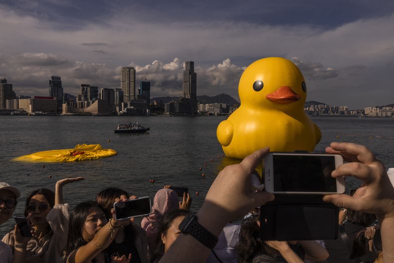 Una instalación de arte llamada Double Ducks del artista holandés Florentijn Hofman en el puerto de Victoria en Hong Kong, el 10 de junio de 2023. Uno de los patos se desinfló debido al calor. (Foto AP/Louise Delmotte)