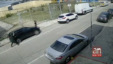 robo y vandalismo a plena luz del dia en miami