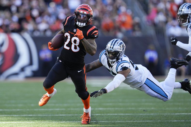 DEP-NFL PANTHERS-BENGALS