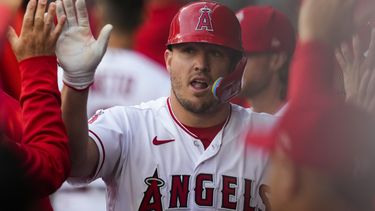 Mike Trout (6), de los Angelinos de Los Ángeles, celebra en la banca tras anotar en un triple de Brandon Drury en el primer inning del juego de la MLB que enfrentó a su equipo con los Atléticos de Oakland, en Anaheim, California, el 25 de abril de 2023. (AP Foto/Ashley Landis)