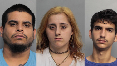 arrestan a grupo involucrado en un robo de auto en hialeah