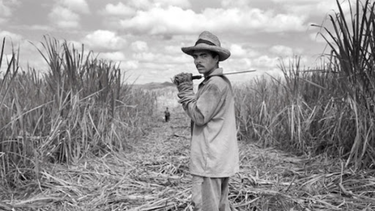 la cuba del recuerdo | el azucar y cuba