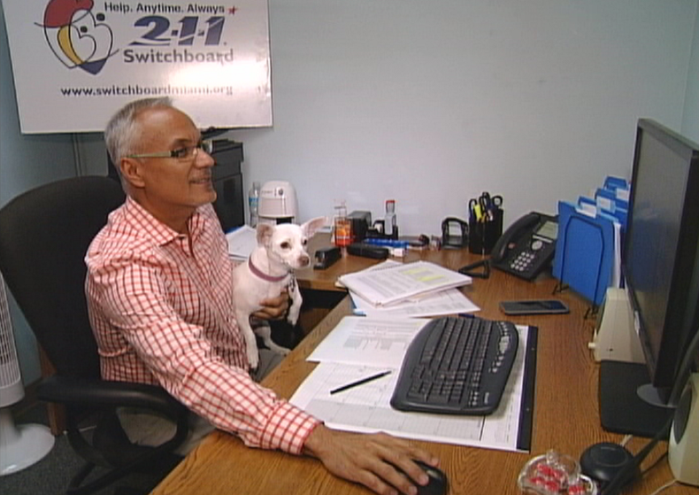 PERROS EN EL TRABAJO.png