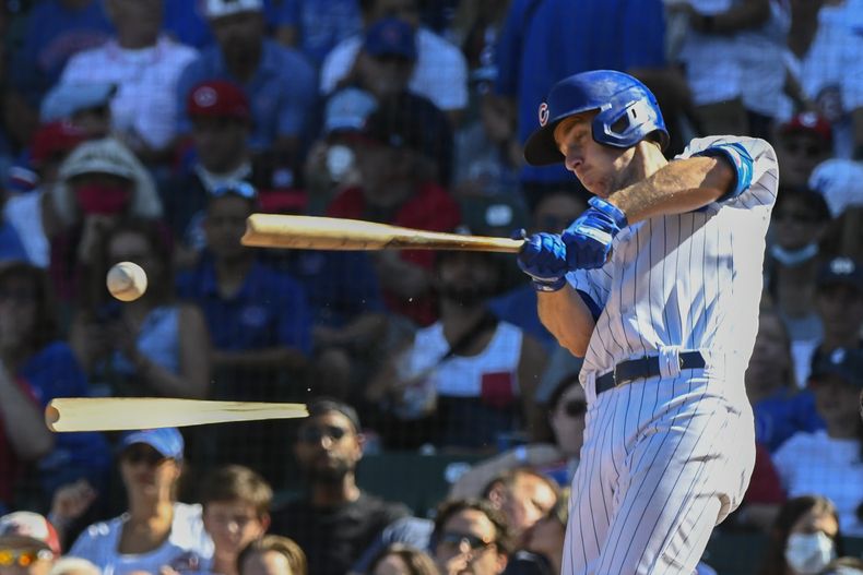 DEP-BEI ROJOS-CACHORROS