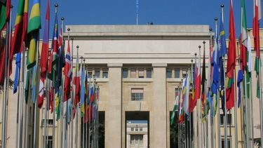 americateve | La violencia contra las mujeres y niñas ?es generalizada y está en aumento? en Venezuela, según un informe del Comité de la ONU sobre discriminación contra las mujeres emitido hoy en Ginebra