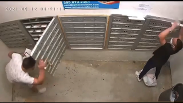 captado en camara el robo de todos los buzones de correo en un condominio de hialeah