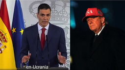 pedro sanchez desafia a trump y resume la postura de espana ante la guerra en medio oriente: no a la guerra pedro sanchez desafia a trump y resume la postura de espana ante la guerra en medio oriente: no a la guerra