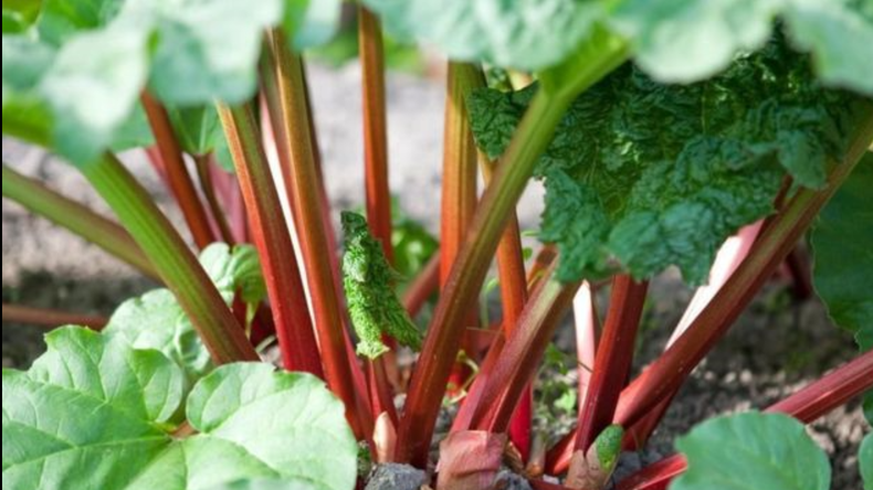 Screenshot (1875).png