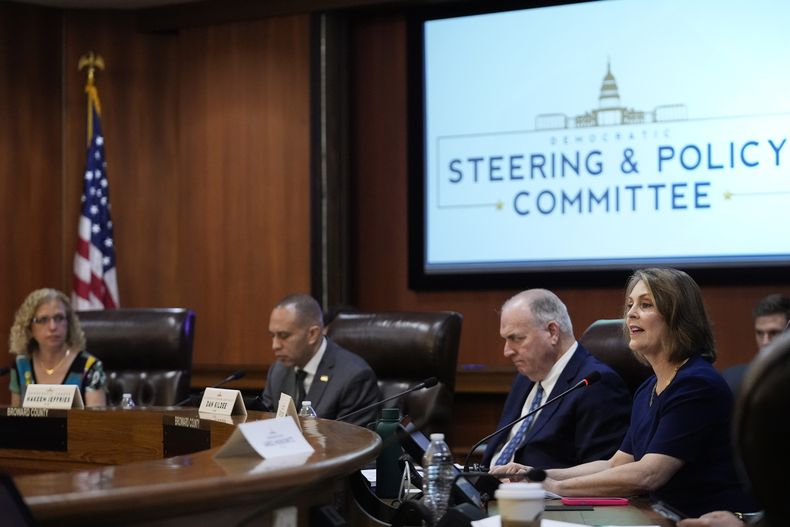 La representante demócrata por Florida Kathy Castor, a la derecha, habla durante una audiencia de la Comisión de Dirección y Política Demócrata sobre Libertad Reproductiva, el martes 2 de abril de 2024, en Fort Lauderdale, Florida. (AP Foto/Wilfredo Lee)