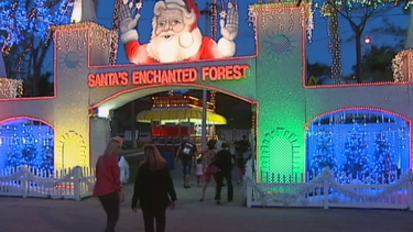 el bosque encantado de santa ya esta abierto al publico