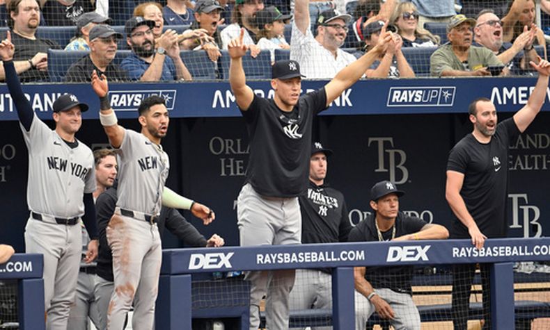 Aaron Judge, de los Yankees de Nueva York (centro), celebra el jonrón de dos carreras de Ben Rice (no aparece en la foto) durante la tercera entrada de un partido de béisbol contra los Rays de Tampa Bay, el jueves 9 de julio de 2026, en St. Petersburg, Florida. (Foto AP/Jason Behnken)